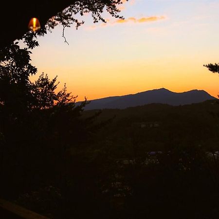 비둘기 포지 Bluff Mountain View 빌라 외부 사진